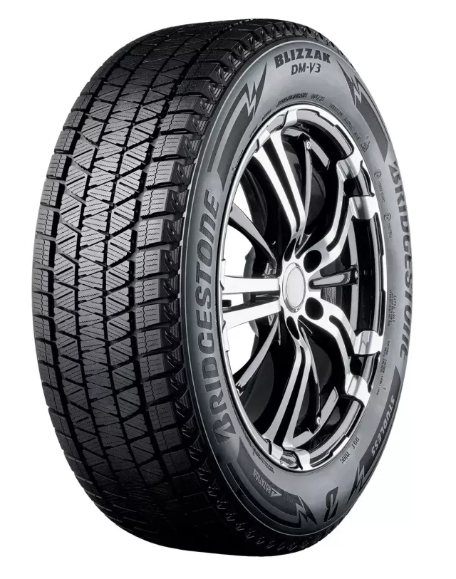 Bridgestone Blizzak DM-V3 255/45R20 101T padangos