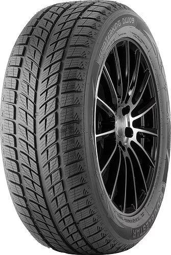 Doublestar DW09 215/55R18 95H padangos