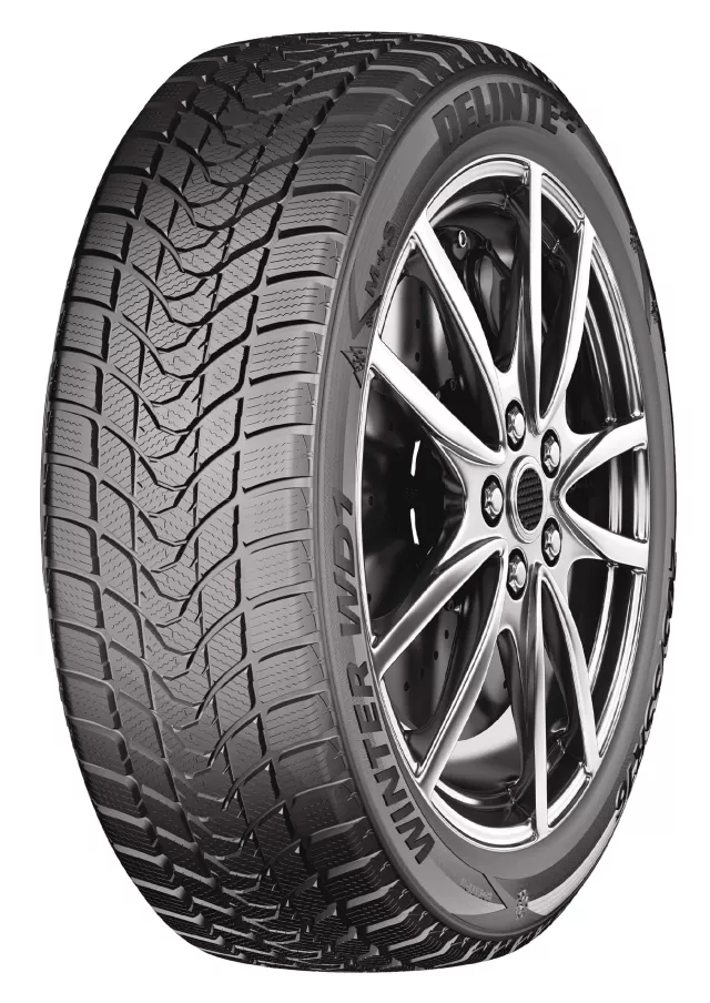 Delinte Winter WD1 245/50R18 100H padangos