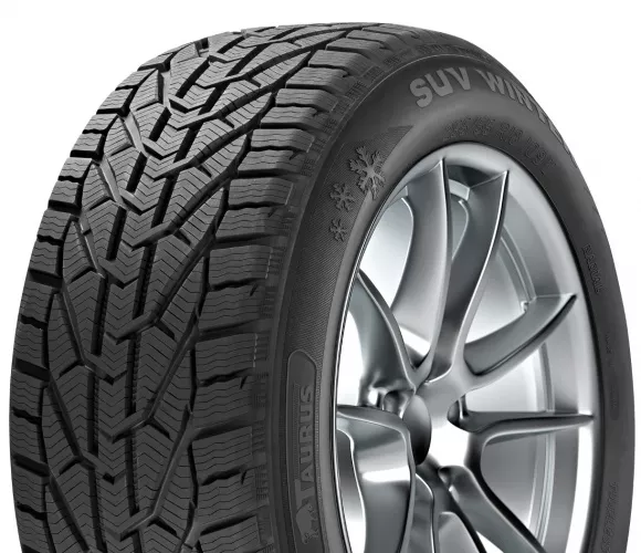 Taurus Winter 195/60R15 88T padangos