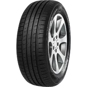 Minerva Radial F209 195/55R16 91V padangos