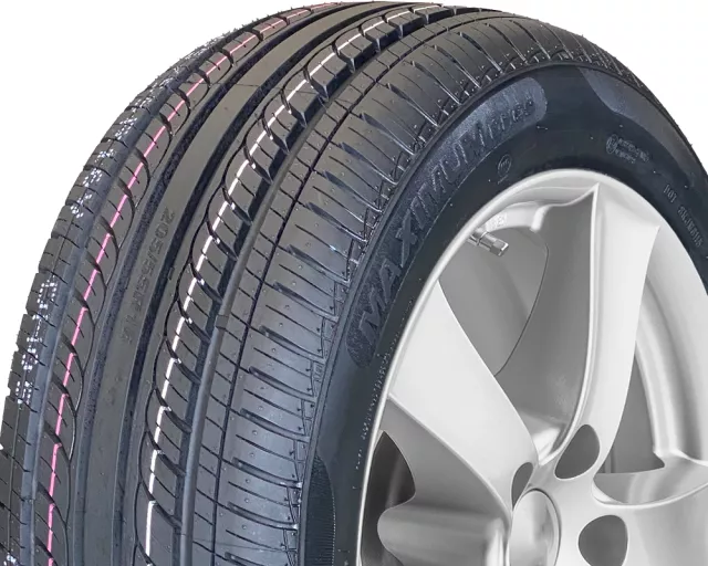 DoubleStar DH05 205/55R16 91V padangos