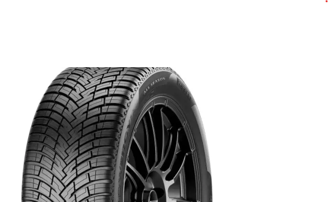 Pirelli POWERGY All Season M+S 225/50R18 99W XL padangos
