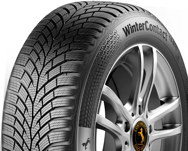 Continental Winter Contact TS-870 Elect 205/55R16 91T padangos