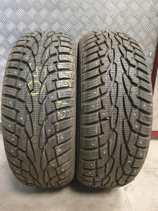 Nankang Snow Winter dygliuotos padangos 185/55R15